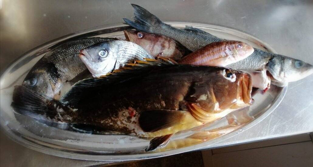 Adriatic Holiday Adriatic Holiday