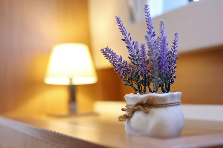 Bali Catsmart OW Le Petite Prince - OW