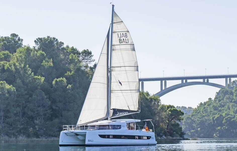 Bali Catsmart First Toy