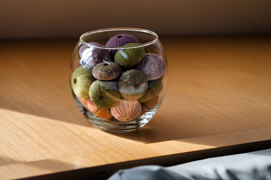 Fountaine Pajot Saba 50 Royal Cracow