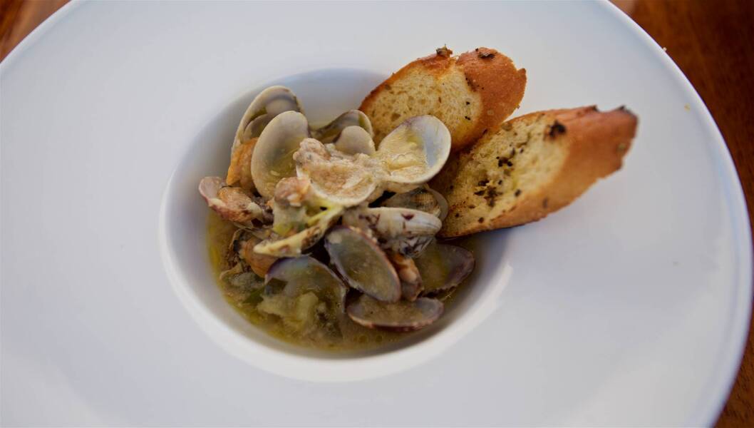 Queen of Adriatic Queen of Adriatic