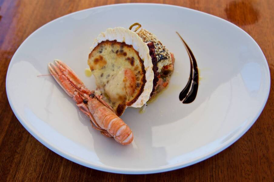 Queen of Adriatic Queen of Adriatic